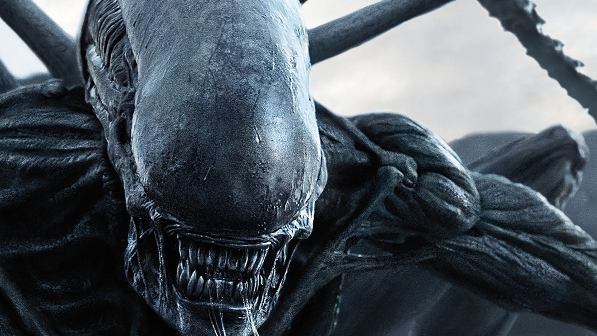Alien: Covenant Backdrop