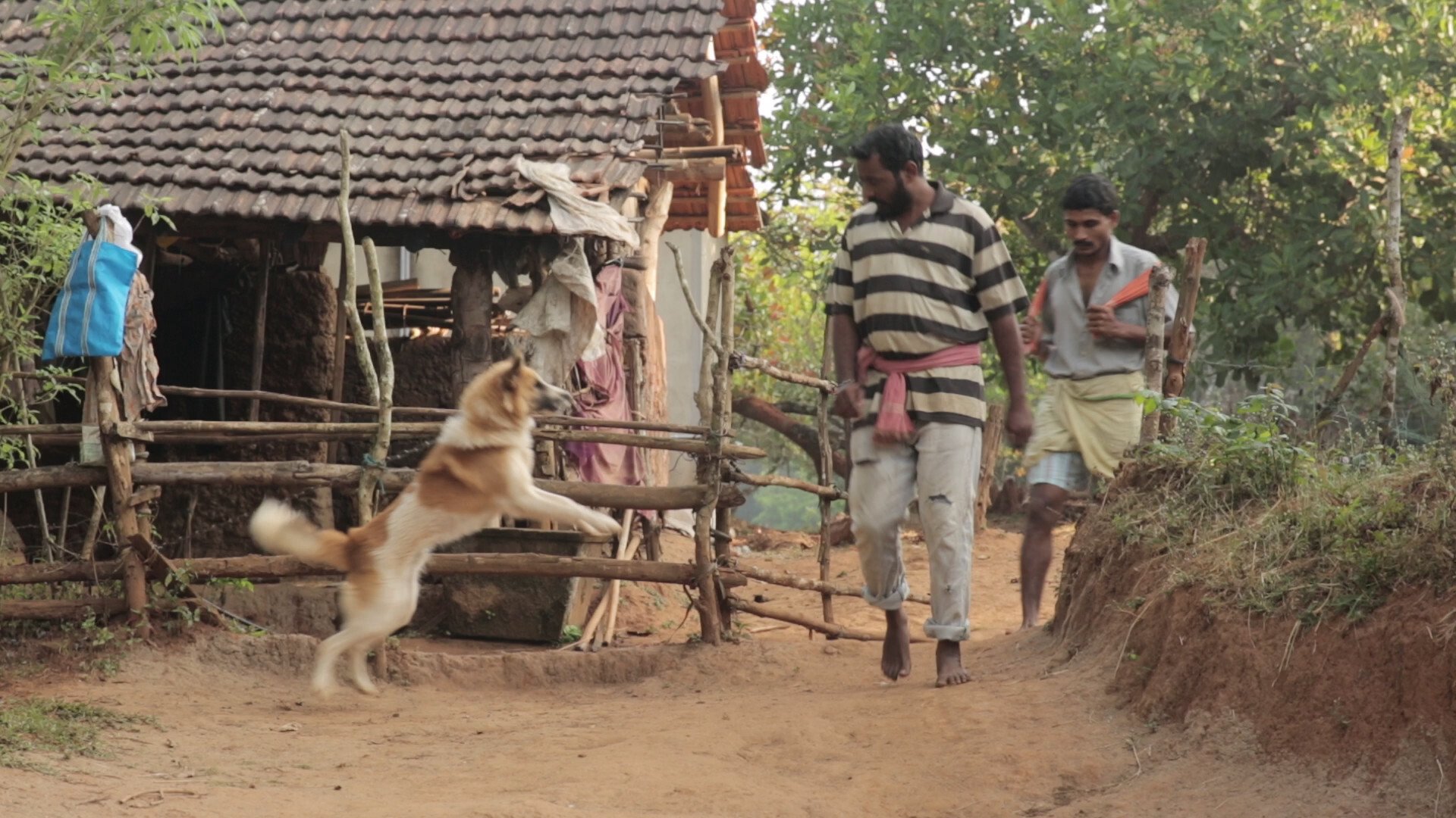 Koli Taal Screenshot 6