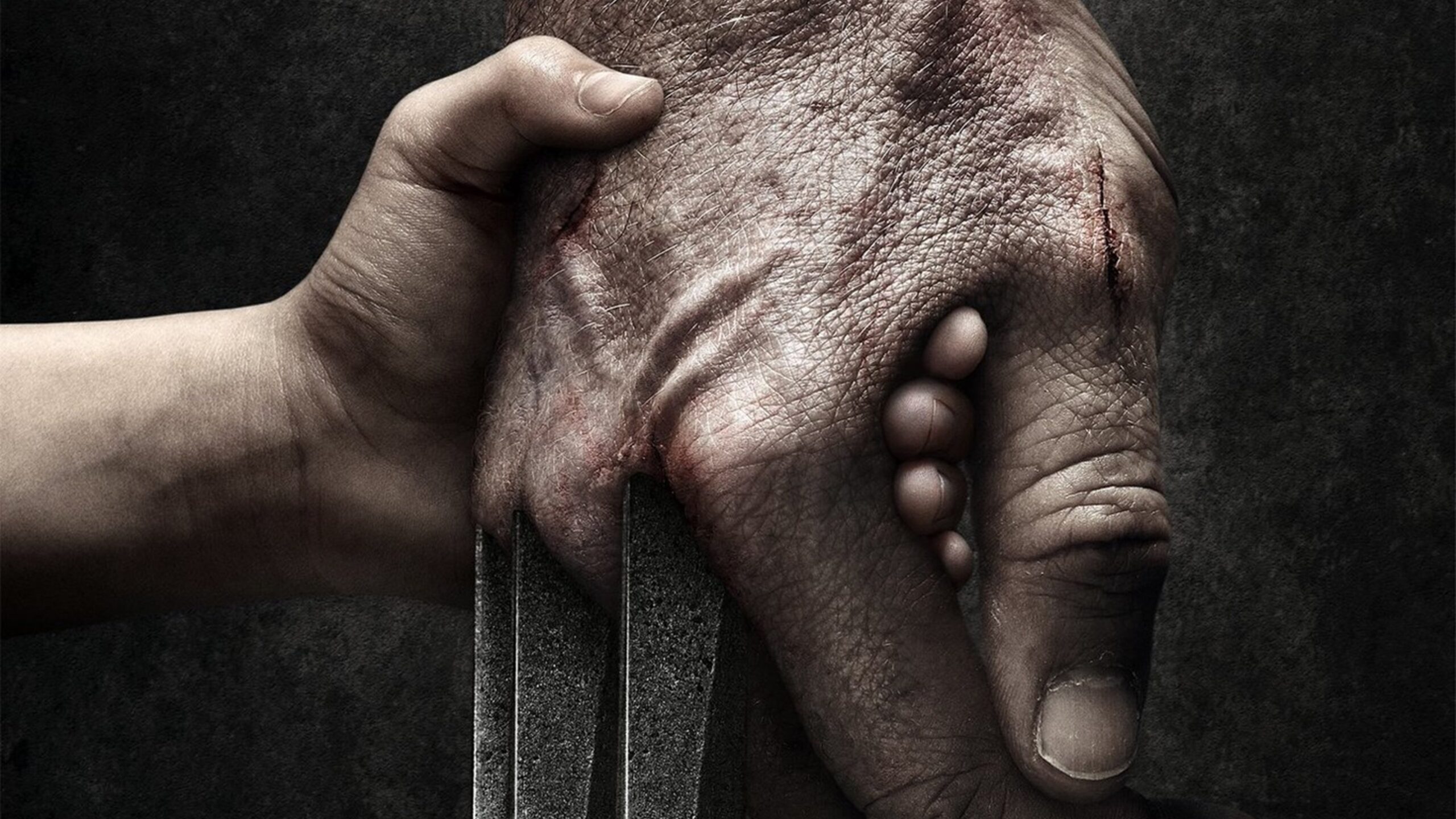 Logan Screenshot 3